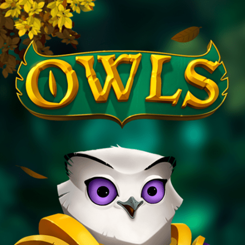 Owls – Nolimit City
