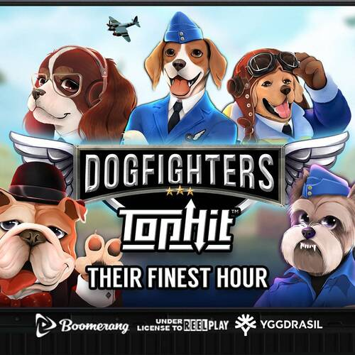 Dog Fighters - Their Finest Hour