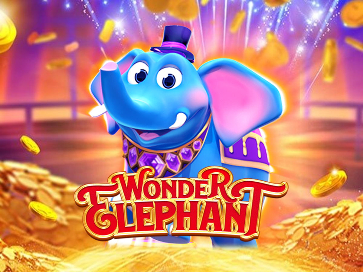 Wonder Elephant