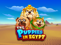 The Puppies In Egypt