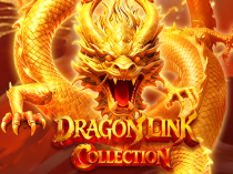 Dragon Link Collection