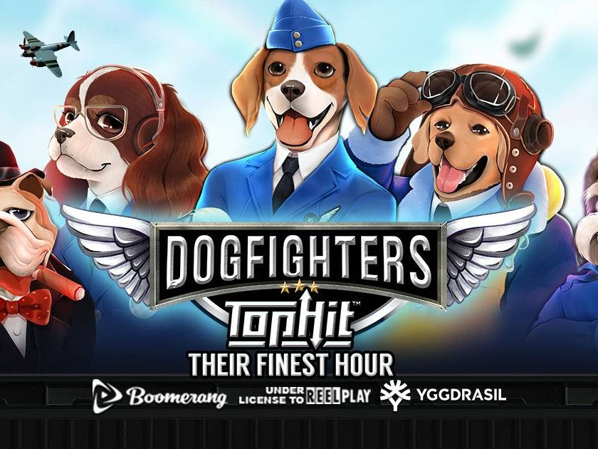 Dog Fighters - Their Finest Hour